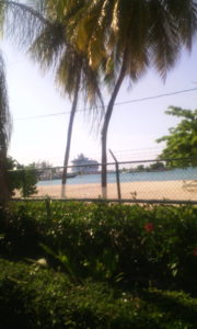 beachgrass