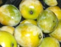 blackie-mango