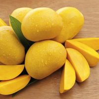number11-mango